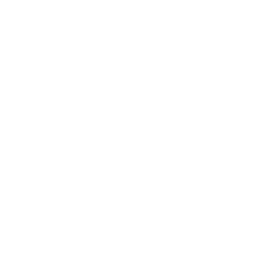 Resilient Riders